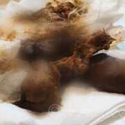 ヒメ日記 2026/02/13 23:45 投稿 あやめ 排泄マニア