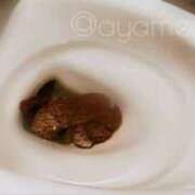 ヒメ日記 2026/02/18 23:45 投稿 あやめ 排泄マニア