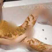 ヒメ日記 2026/02/22 23:45 投稿 あやめ 排泄マニア