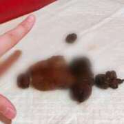 ヒメ日記 2026/03/03 23:45 投稿 あやめ 排泄マニア