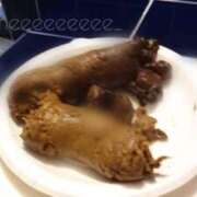 ヒメ日記 2026/03/17 23:45 投稿 あやめ 排泄マニア