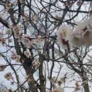 ヒメ日記 2026/03/28 23:45 投稿 あやめ 排泄マニア