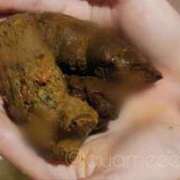 ヒメ日記 2026/03/29 23:45 投稿 あやめ 排泄マニア