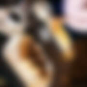 ヒメ日記 2025/11/07 20:00 投稿 萌(もえ) 排泄マニア