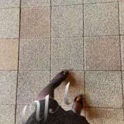 ヒメ日記 2025/09/28 02:30 投稿 ◇綾 マダム西船橋