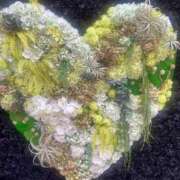 ヒメ日記 2025/12/27 02:30 投稿 ◇綾 マダム西船橋