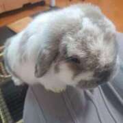 ヒメ日記 2025/11/02 19:14 投稿 芽衣(めい) 排泄マニア