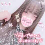 ヒメ日記 2024/12/17 22:08 投稿 うるは マツタケヒロシ