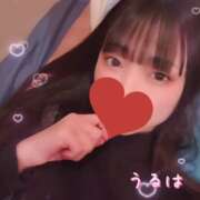 ヒメ日記 2025/02/28 20:13 投稿 うるは マツタケヒロシ