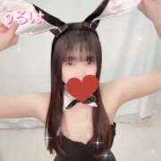 ヒメ日記 2025/03/01 23:50 投稿 うるは マツタケヒロシ