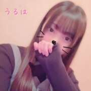 ヒメ日記 2025/03/12 18:54 投稿 うるは マツタケヒロシ