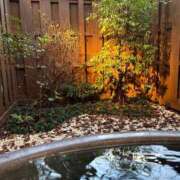 ヒメ日記 2024/12/15 19:20 投稿 東雲あゆみ 五十路マダム 浜松店(カサブランカグループ)