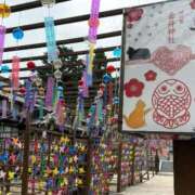 ヒメ日記 2025/10/12 10:40 投稿 東雲あゆみ 五十路マダム 浜松店(カサブランカグループ)