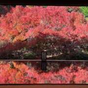 ヒメ日記 2025/10/26 10:34 投稿 東雲あゆみ 五十路マダム 浜松店(カサブランカグループ)