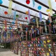 ヒメ日記 2025/11/10 14:22 投稿 東雲あゆみ 五十路マダム 浜松店(カサブランカグループ)