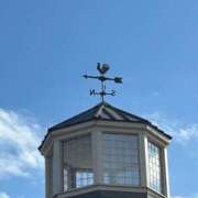 ヒメ日記 2025/11/24 12:14 投稿 東雲あゆみ 五十路マダム 浜松店(カサブランカグループ)