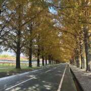 ヒメ日記 2025/11/25 12:00 投稿 東雲あゆみ 五十路マダム 浜松店(カサブランカグループ)