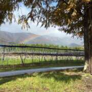 ヒメ日記 2025/11/26 18:48 投稿 東雲あゆみ 五十路マダム 浜松店(カサブランカグループ)