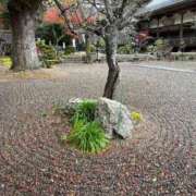 ヒメ日記 2025/11/29 11:06 投稿 東雲あゆみ 五十路マダム 浜松店(カサブランカグループ)