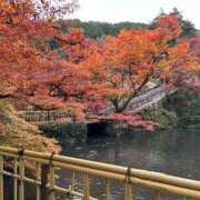 ヒメ日記 2025/12/01 11:54 投稿 東雲あゆみ 五十路マダム 浜松店(カサブランカグループ)