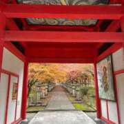 ヒメ日記 2025/12/05 11:46 投稿 東雲あゆみ 五十路マダム 浜松店(カサブランカグループ)