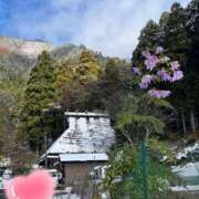 ヒメ日記 2025/12/06 11:40 投稿 東雲あゆみ 五十路マダム 浜松店(カサブランカグループ)