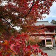 ヒメ日記 2025/12/08 12:04 投稿 東雲あゆみ 五十路マダム 浜松店(カサブランカグループ)