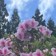 ヒメ日記 2026/05/15 11:38 投稿 東雲あゆみ 五十路マダム 浜松店(カサブランカグループ)