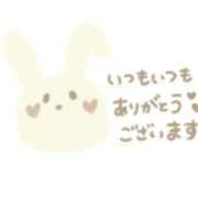 ヒメ日記 2025/01/19 16:35 投稿 さな 兵庫姫路・加古川ちゃんこ