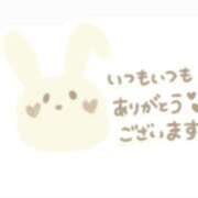 ヒメ日記 2025/03/17 23:45 投稿 さな 兵庫姫路・加古川ちゃんこ