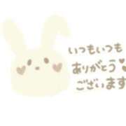 ヒメ日記 2025/03/19 23:28 投稿 さな 兵庫姫路・加古川ちゃんこ