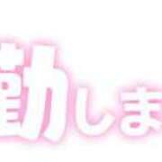 ヒメ日記 2025/03/22 13:02 投稿 さな 兵庫姫路・加古川ちゃんこ