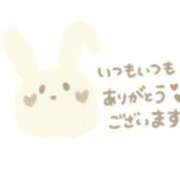 ヒメ日記 2025/04/19 18:30 投稿 さな 兵庫姫路・加古川ちゃんこ