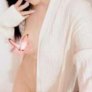 ヒメ日記 2025/02/08 12:54 投稿 手嶋十和子 プレジデントハウス