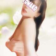 ヒメ日記 2025/04/08 07:32 投稿 手嶋十和子 プレジデントハウス