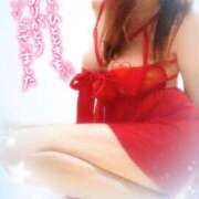 ヒメ日記 2025/04/12 13:05 投稿 手嶋十和子 プレジデントハウス