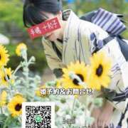 ヒメ日記 2025/07/07 18:24 投稿 手嶋十和子 プレジデントハウス