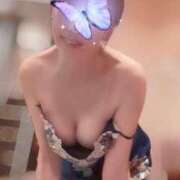 ヒメ日記 2025/07/22 07:31 投稿 手嶋十和子 プレジデントハウス