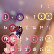 ヒメ日記 2025/07/28 07:31 投稿 手嶋十和子 プレジデントハウス