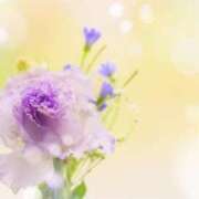 ヒメ日記 2025/08/30 14:29 投稿 手嶋十和子 プレジデントハウス