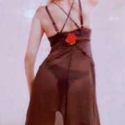 ヒメ日記 2025/09/18 11:31 投稿 手嶋十和子 プレジデントハウス