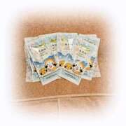 ヒメ日記 2025/10/28 18:54 投稿 手嶋十和子 プレジデントハウス