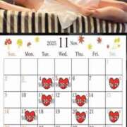 ヒメ日記 2025/11/01 21:47 投稿 手嶋十和子 プレジデントハウス