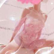 ヒメ日記 2025/11/17 07:31 投稿 手嶋十和子 プレジデントハウス