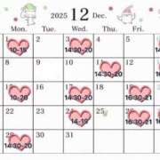 ヒメ日記 2025/11/21 23:14 投稿 手嶋十和子 プレジデントハウス