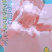 ヒメ日記 2025/12/16 16:04 投稿 手嶋十和子 プレジデントハウス