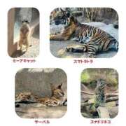 ヒメ日記 2026/02/23 19:30 投稿 手嶋十和子 プレジデントハウス