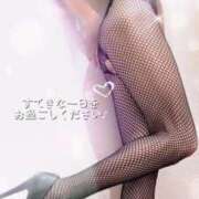 ヒメ日記 2026/04/09 06:26 投稿 手嶋十和子 プレジデントハウス