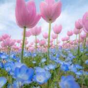 ヒメ日記 2025/01/28 09:57 投稿 ようこ 完熟ばなな 横浜