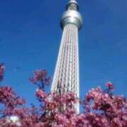 ヒメ日記 2025/02/05 14:17 投稿 ようこ 完熟ばなな 横浜